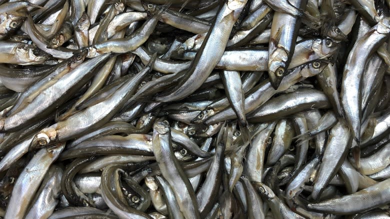 large pile of capelin