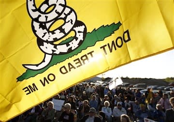 don't tread on me flag at health-care protest