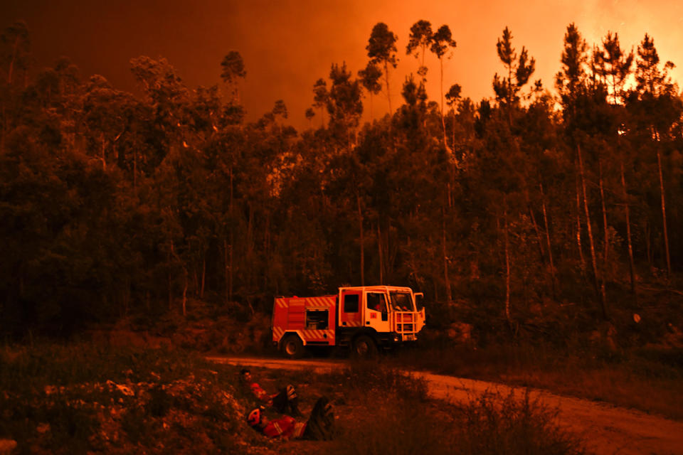 Forest fire raging