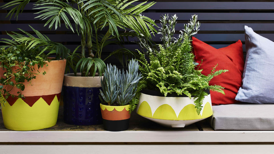 Our cheap garden ideas are perfect for giving your outdoor space a fresh new look without having to splash the cash