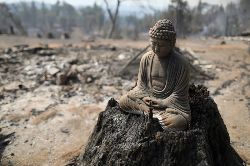 Oak Fire Burns in California