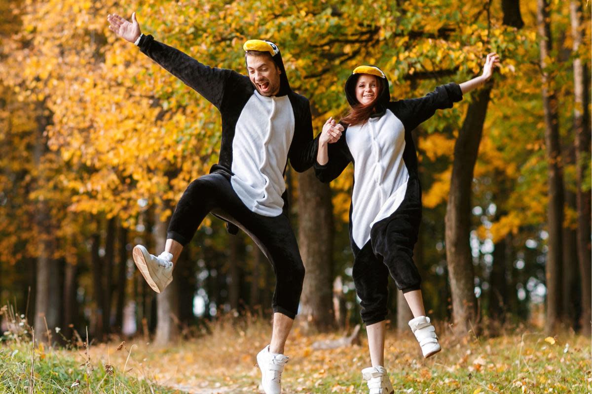 Bents Garden Centre will be hosting a 'Jim Jam Jog' to help raise money for Children's Adventure Farm Trust <i>(Image: Children's Adventure Farm Trust)</i>