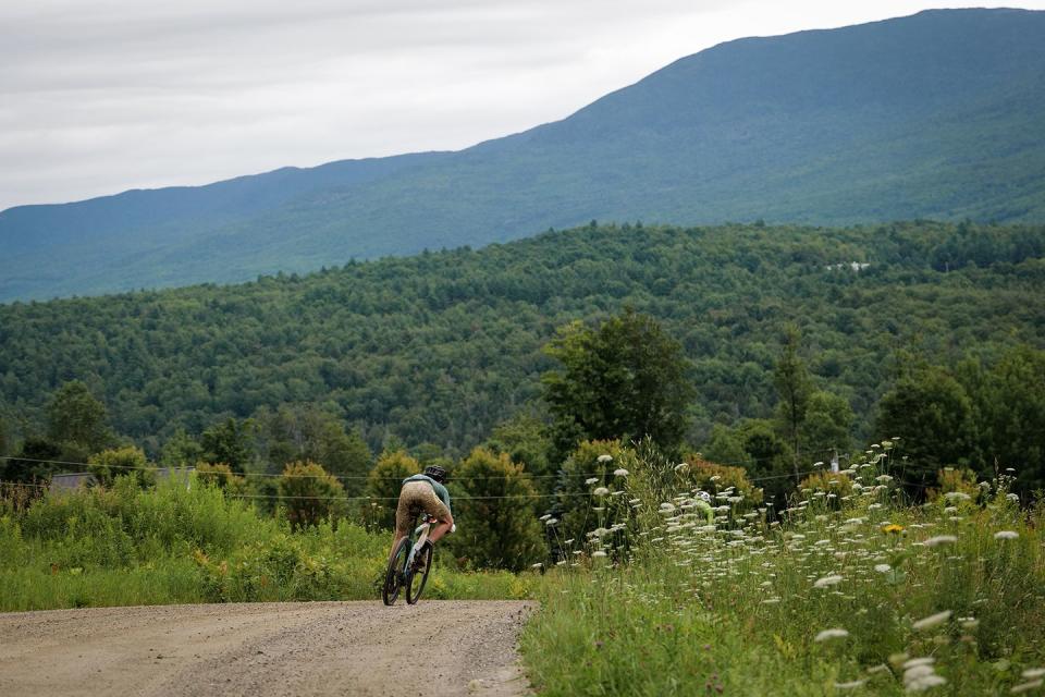 rooted vermont