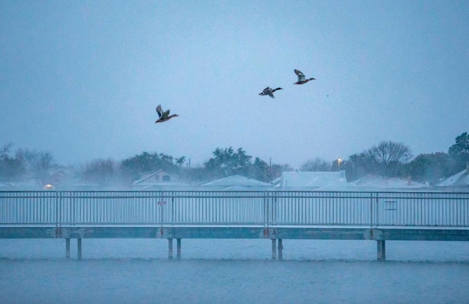 It hit 12 degrees along a shore of Lake Granbury as the wind whipped around the water making it feel colder early Monday morning, Jan. 15, 2024.