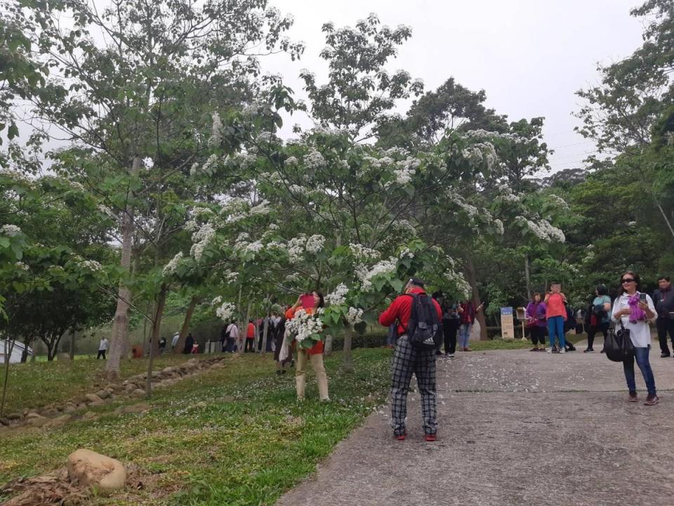 因應苗栗限水，客家大院打通園區多處「龍泉」老井，免費提供苗栗鄉親取用。（姜太公道場提供）