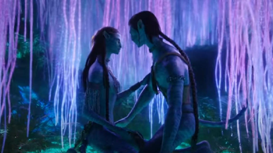 Jake And Neytiri (Avatar)