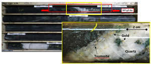 Photograph of core containing gold within MU21-051 (60.7 – 61.15 m – ETW 0.23m @ 507 g/t Au).