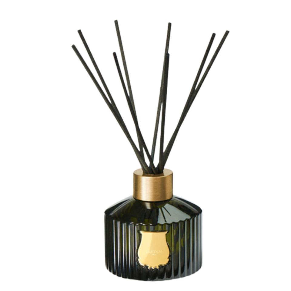 Trudon diffuser