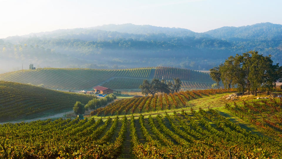 A serene day in Paso Robles