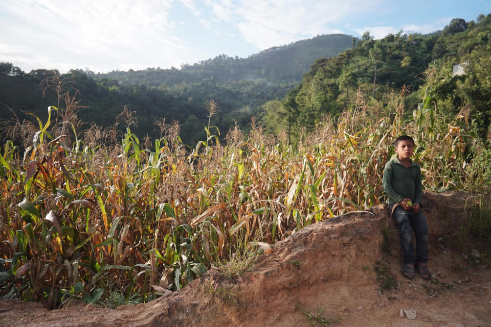 Years of drought interspersed with unpredictable storms have resulted in poor harvests and food shortages. (Carlos Perez Beltran / NBC News)