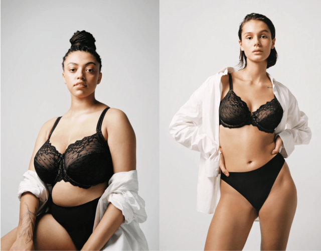 Chantelle Bras And Lingerie - How To Embrace A Chic Look