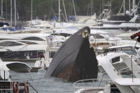 A boat destroyed by winds caused by hurricane Carlos is seen at a marina in Acapulco, June 14, 2015. Hurricane Carlos strengthened off Mexico's southwestern Pacific coast on Saturday as it moved closer to the beach resort of Acapulco, threatening to dump heavy rains, the U.S. National Hurricane Center said. REUTERS/Claudio Vargas