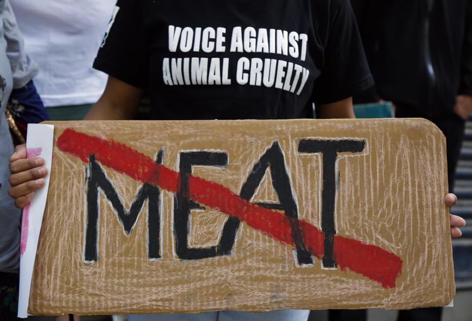 In this Saturday Sept. 29, 2018 photo, an animal rights activist protests against animal sacrifices ahead of Dasain festival in Kathmandu, Nepal. During the 15-day Dasain festival that began October in the Himalayan country, families fly kites, host feasts and visit temples, where tens of thousands of goats, buffaloes, chickens and ducks are sacrificed to please the gods and goddesses as part of a practice that dates back centuries. Animal rights groups are hoping to stop _or at least reduce_ the slaughter, using this year’s campaign as a practice run to combat a much larger animal sacrifice set for next year at the quinquennial Gadhimai festival. (AP Photo/Niranjan Shrestha)