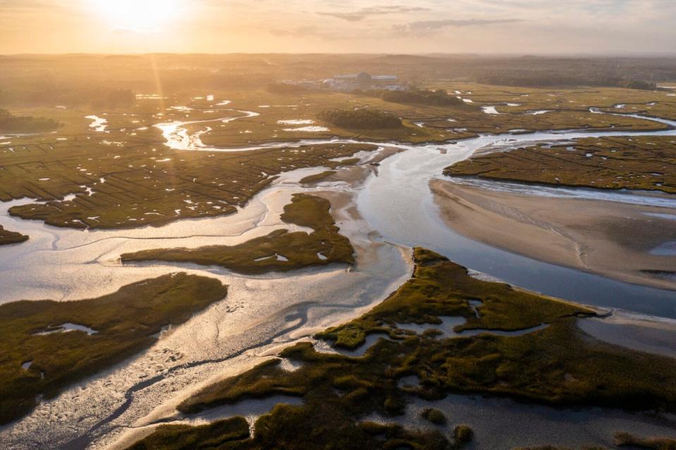 Salt marshes, such as this one in Hampton, have been shrinking due to the pressures of development.