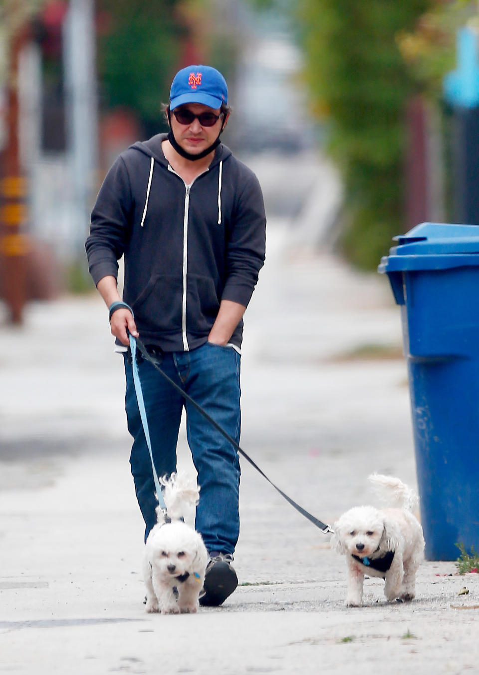 A relaxed looking Jonathan Taylor Thomas, 39, walks his two pet dogs in Hollywood