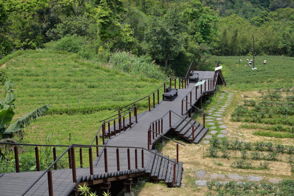 貓空（圖片來源：臺北市政府工務局大地工程處）