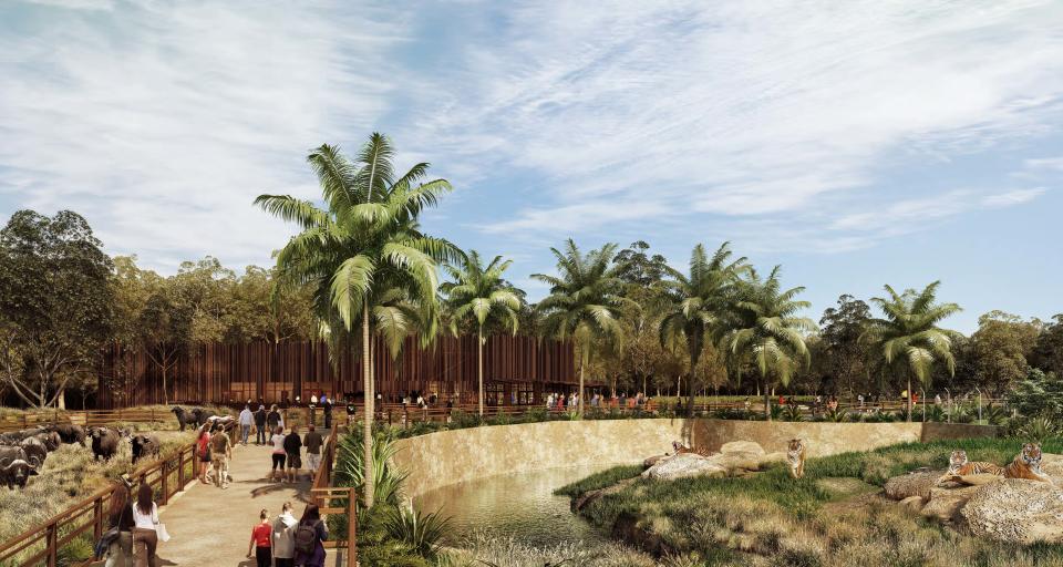 Artist’s impression of the tigers section at the Sydney Zoo. (Image: Sydney Zoo)