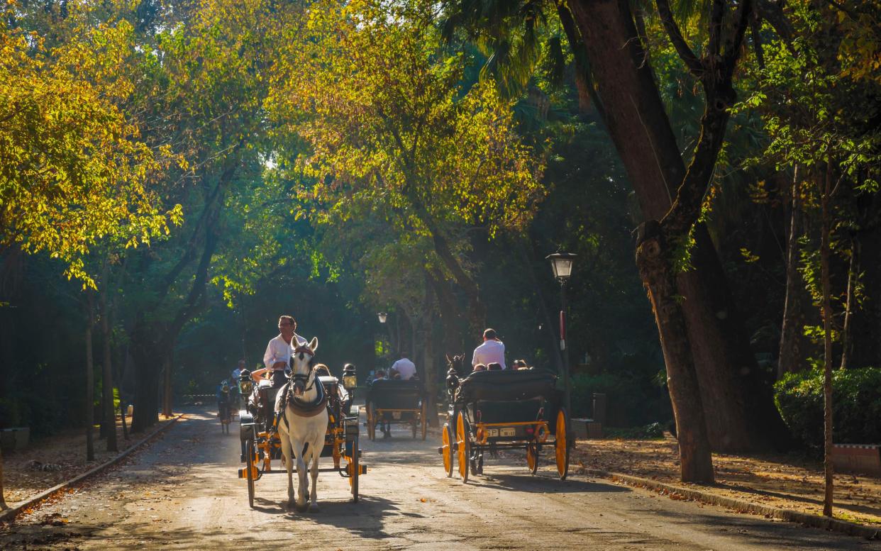 Parque Maria Luisa, Seville