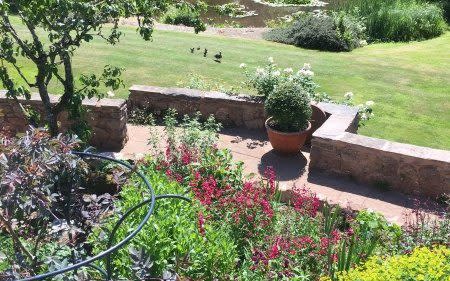 The terrace borders at Shutelake are full of perennials in warm late-summer shades of dark red, copper and tangerine - National Garden Scheme