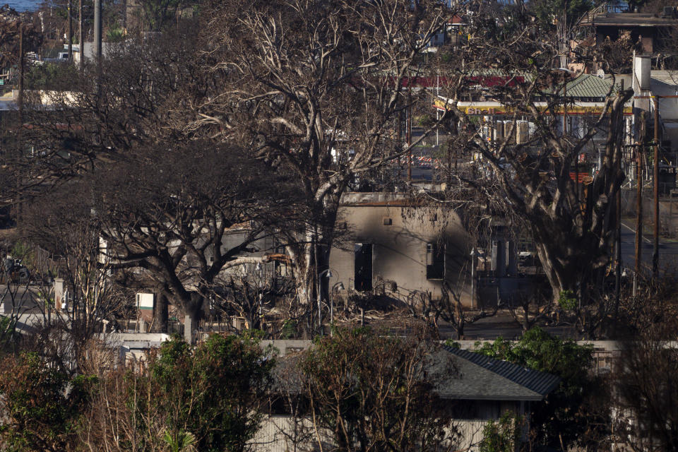 Destroyed homes and businesses stand Wednesday, Dec. 6, 2023, in Lahaina, Hawaii. Recovery efforts continue after the August wildfire that swept through the Lahaina community on Hawaiian island of Maui, the deadliest U.S. wildfire in more than a century. (AP Photo/Lindsey Wasson)