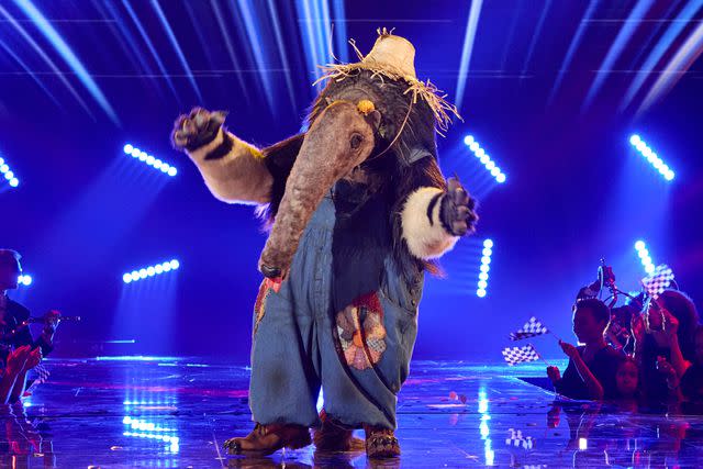 <p>Michael Becker / FOX</p> Anteater on 'The Masked Singer'