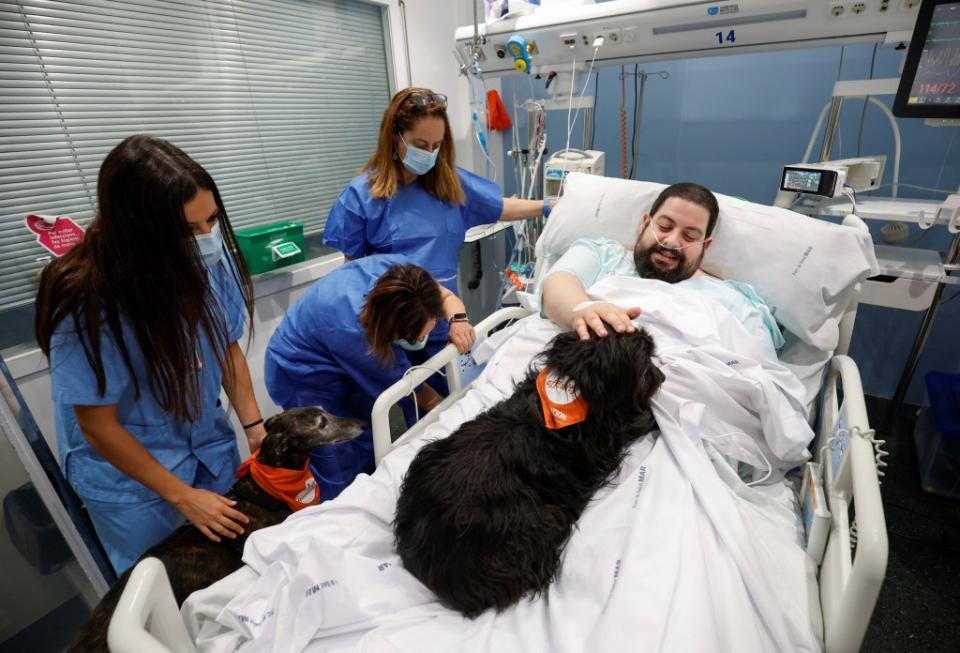 Bueno explained being showered with affection by therapy dogs Vida and Lu reminded him of his own dog back home. REUTERS