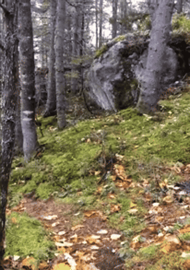 Underground Rap Autumn GIF