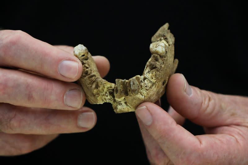 Nesher Ramla - pieces of fossilised bone of a previously unknown kind of early human discovered in Israel