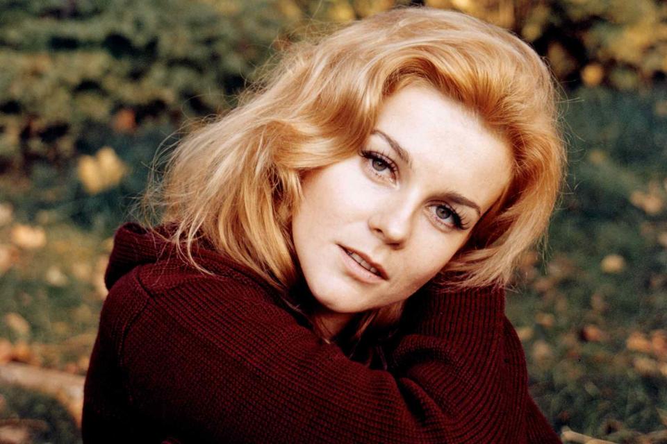 <p>Sunset Boulevard/Corbis via Getty</p> Ann-Margret