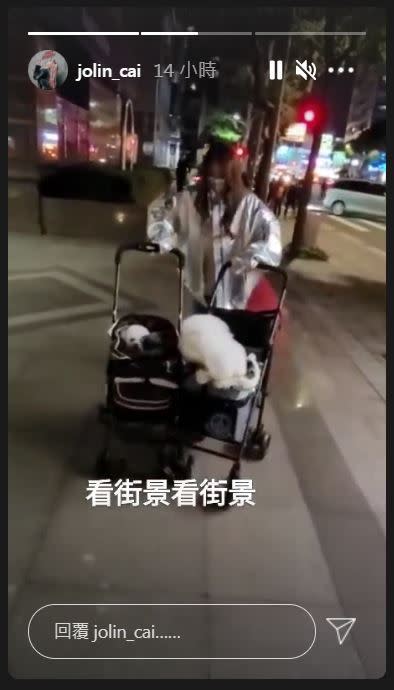 蔡依林試圖一人推兩台車。（圖／翻攝自蔡依林IG）