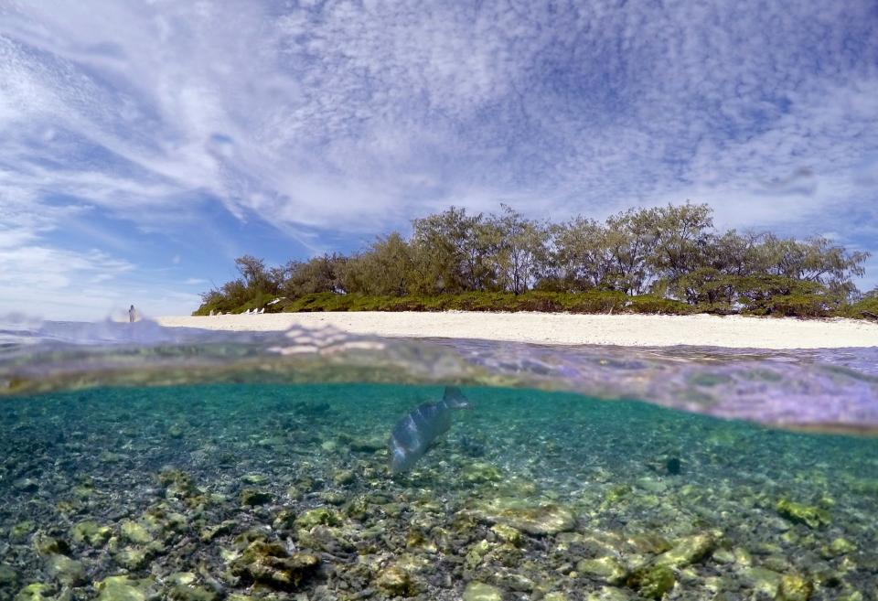 <em>Lady Elliot Island, 80 kilómetros al noroeste de la ciudad de Bundaberg en Queensland, Australia. David Gray (Reuters)</em>