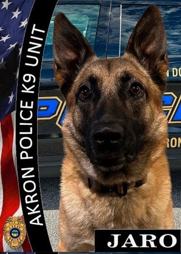 Akron police K9 Jaro.