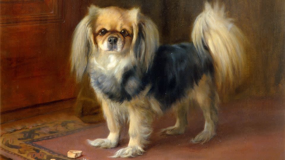 Tibetan spaniels, such as the ones depicted in this painting by Arthur John Elsley, were also being kept and bred in Britain in the 19th century. - Courtesy Brighton & Hove Museums