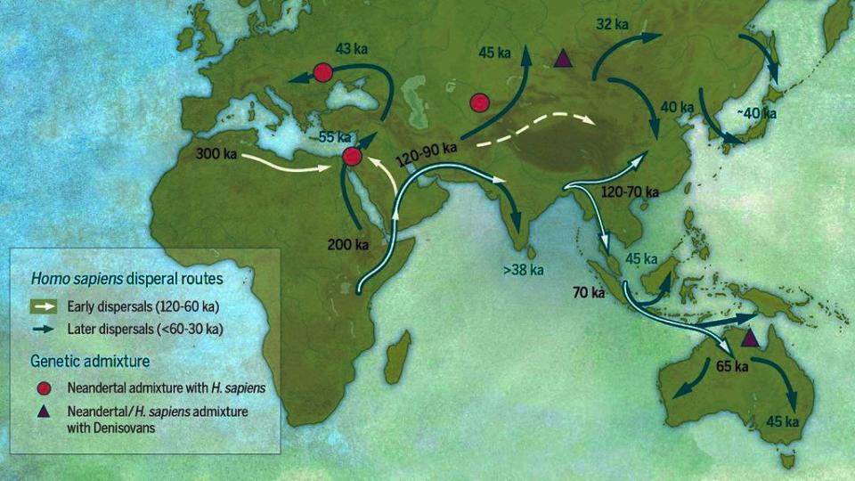 homo sapiens dispersal