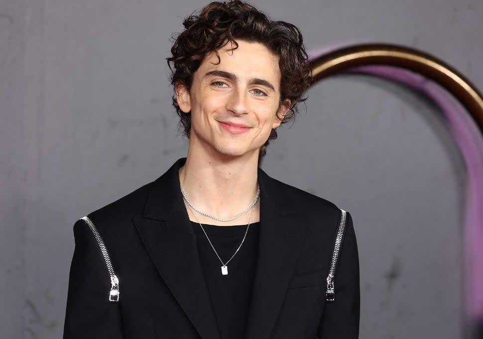 Timothee Chalamet