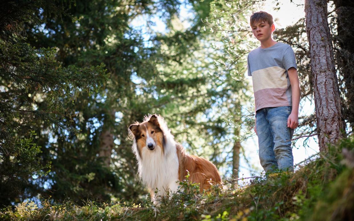 Dieser Hund kommt in jedem Gelände gut zurecht: "Lassie - Ein neues Abenteuer", das Sequel zu "Lassie - Eine abenteuerliche Reise" (2020), spielt in Südtirol. (Bild: LCH2 Film/Leonine/Bernd Spauke)