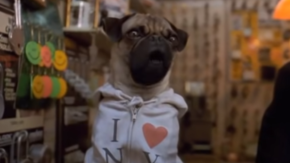 Frank the Pug in Men in Black.