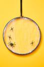 <p>Hang one or multiple of this simple cobweb wreaths on your door this Halloween season. <br><strong><br>Make the Wreath: </strong>Stretch faux cobweb over the inner ring of a 12-inch embroidery hoop; add out ring to hold in place. Trim any excess web from the back and add a few small faux spiders to the front. <br></p>