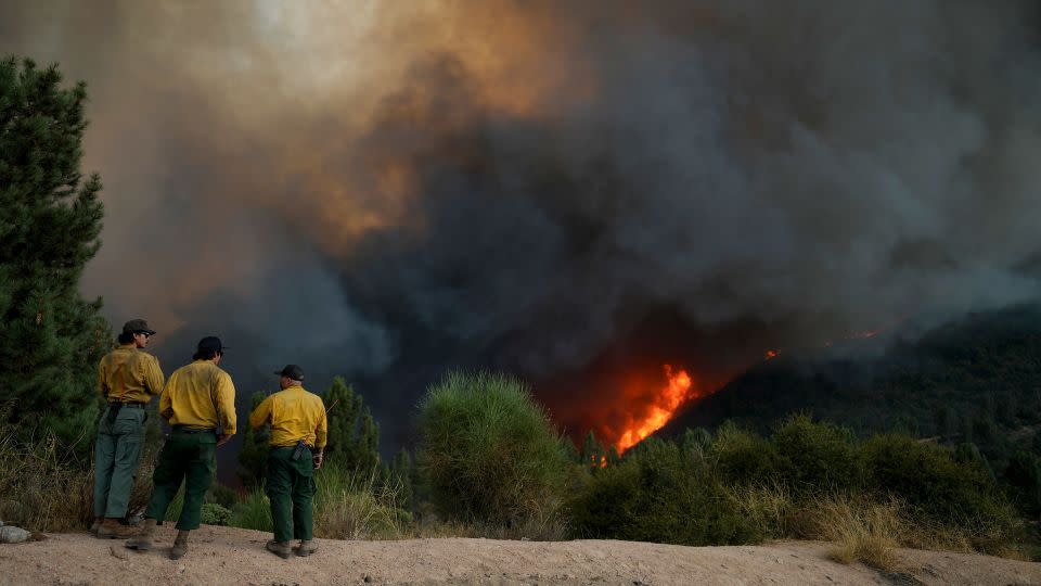 Fire crews monitor the Line Fire, in Running Springs, California, on September 7, 2024. - Eric Thayer/AP