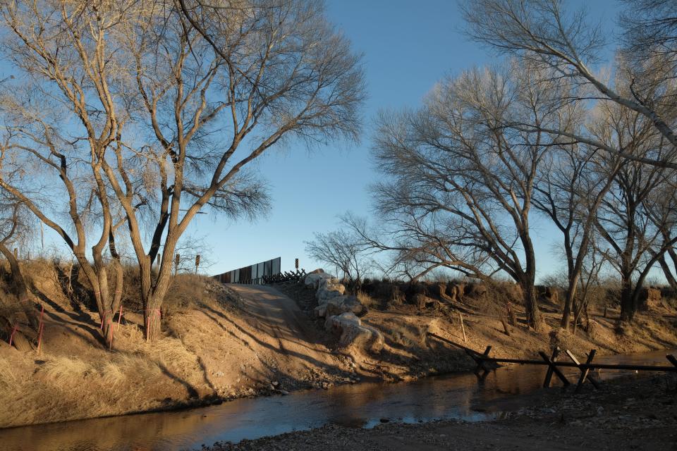 Cottonwood trees are marked for removal with pink ribbons along the San Pedro River at the border as border wall construction there appears imminent.