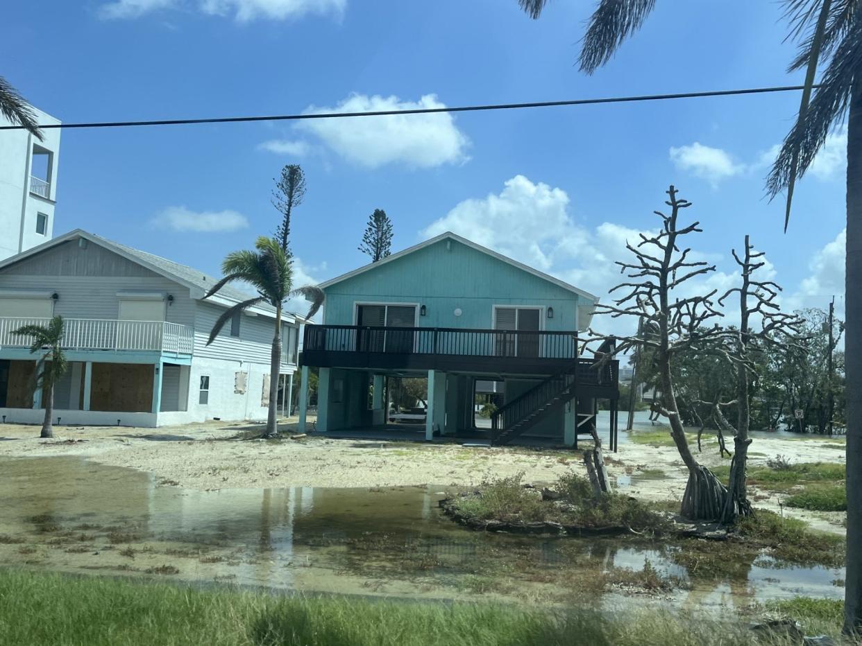 A scene from Hickory Boulevard after Hurrican Idalia.