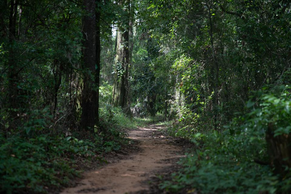 Lafayette Heritage Trail Park