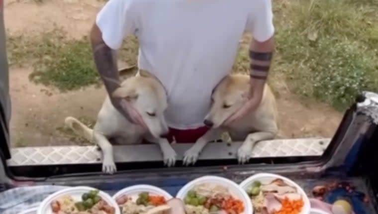 Man in Thailand Cooks Christmas Feast for Street Dogs