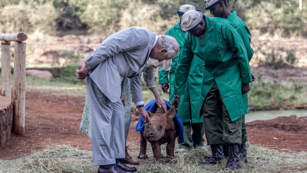 topshot kenya britain royals diplomacy