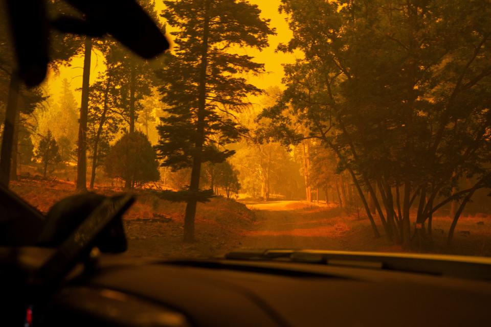 Smoke from the South Fork Fire covers the sun, casting an orange light across the Lincoln National Forest at Cedar Creek in Ruidoso, New Mexico, U.S. June 17, 2024. REUTERS/Kaylee Greenlee Beal