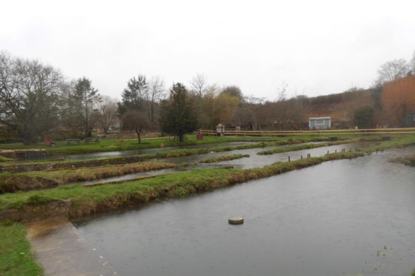 The site owners say the fish raceways in the centre of the farm are no longer needed.