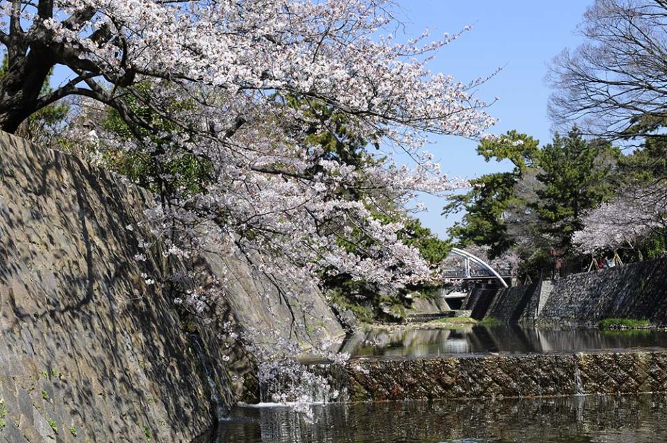 夙川公園（Image Source : Getty Creative／amana images RF）