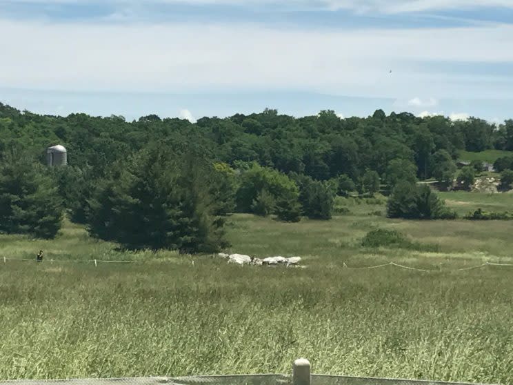 Remnants of a blimp that crashed near Erin Hills, site of the U.S. Open, can be seen in the distance. (Yahoo Sports)
