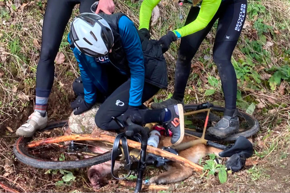 A group of women cyclists use a bike to pin down a mountain lion that attacked one of them in Washington state. (KING 5)