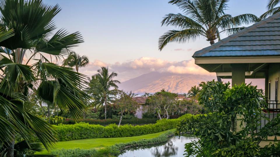 Maui-Hawaii-GlennParry-Grounds